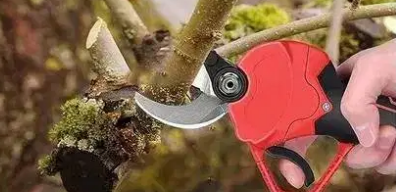 Tijera para podar inalambrica